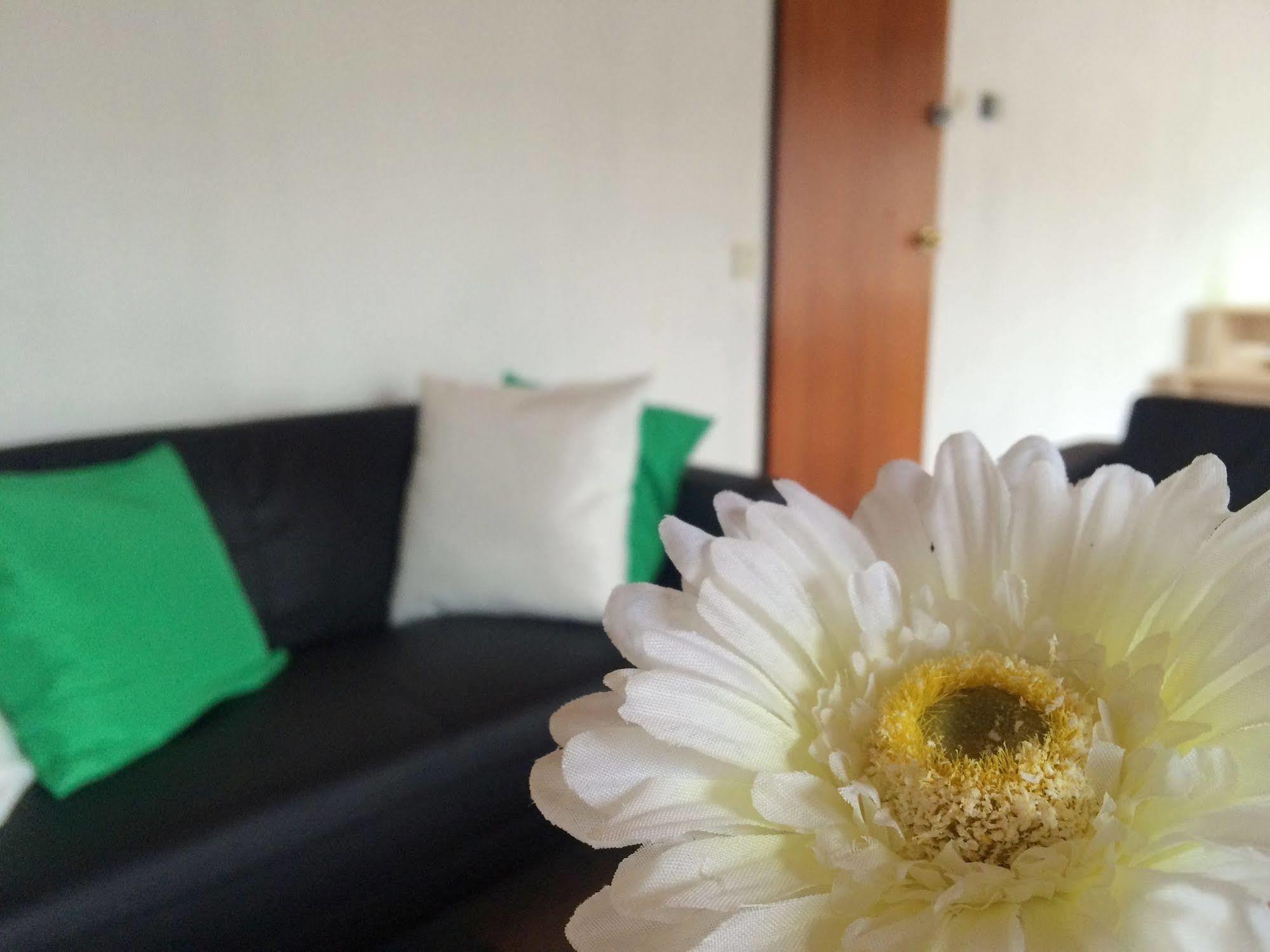 The Budget Hotel Hazerswoude-Rijndijk Ngoại thất bức ảnh